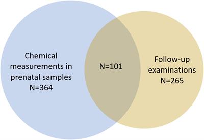 Prenatal exposure to phenols and benzophenones in relation to markers of male reproductive function in adulthood